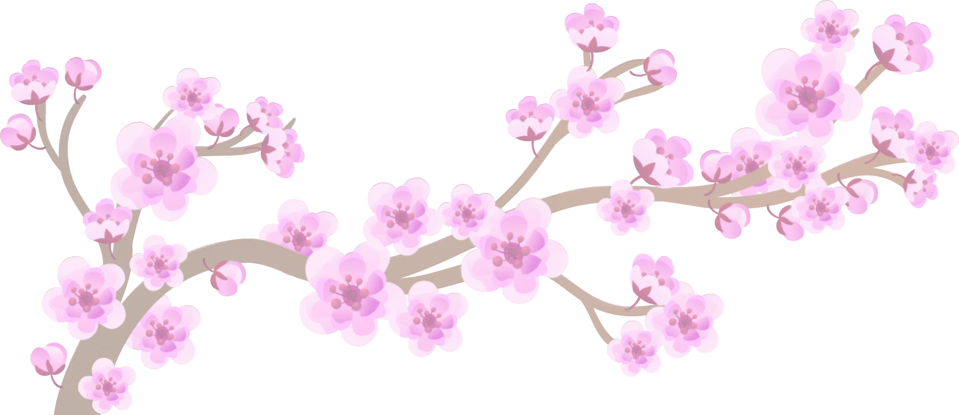 Bottom-left-flower-branch